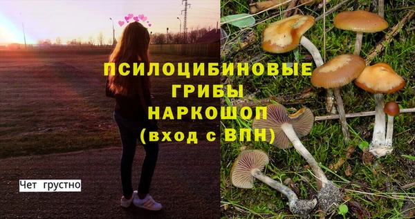 COCAINE Магас