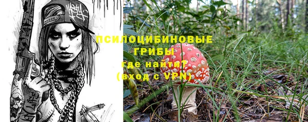 ПСИЛОЦИБИНОВЫЕ ГРИБЫ Лихославль