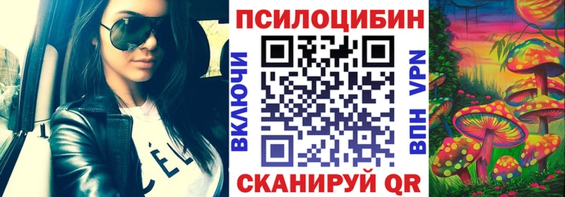Галлюциногенные грибы Psilocybe  Купить где  Усть-Лабинск 